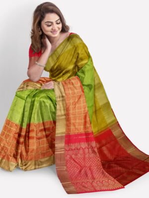 kanchipuram-silk-saree-multi-colour