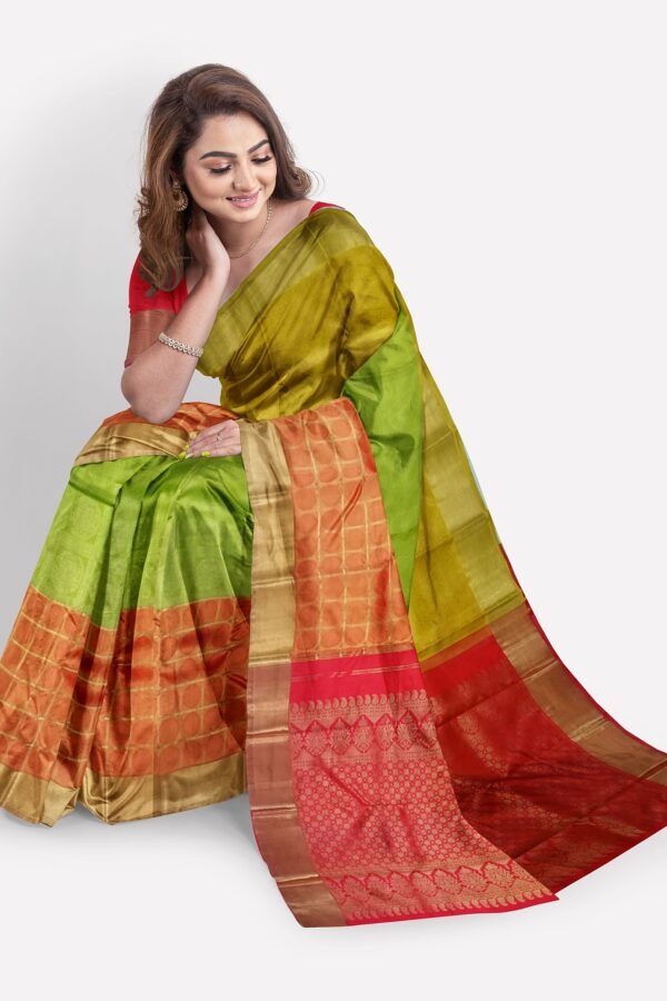 kanchipuram-silk-saree-multi-colour